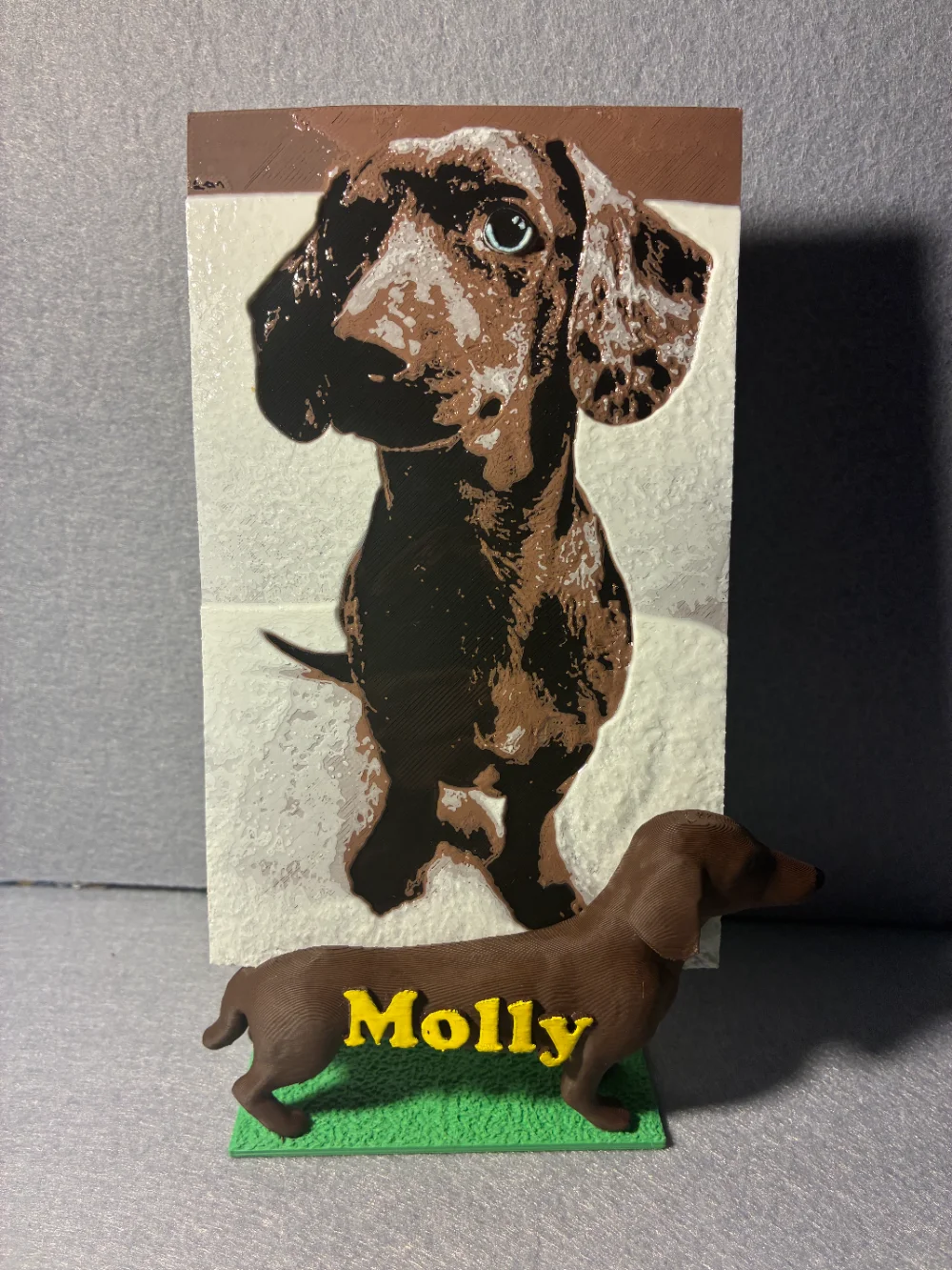 Il ritratto 3D realizzato: bassotto Molly