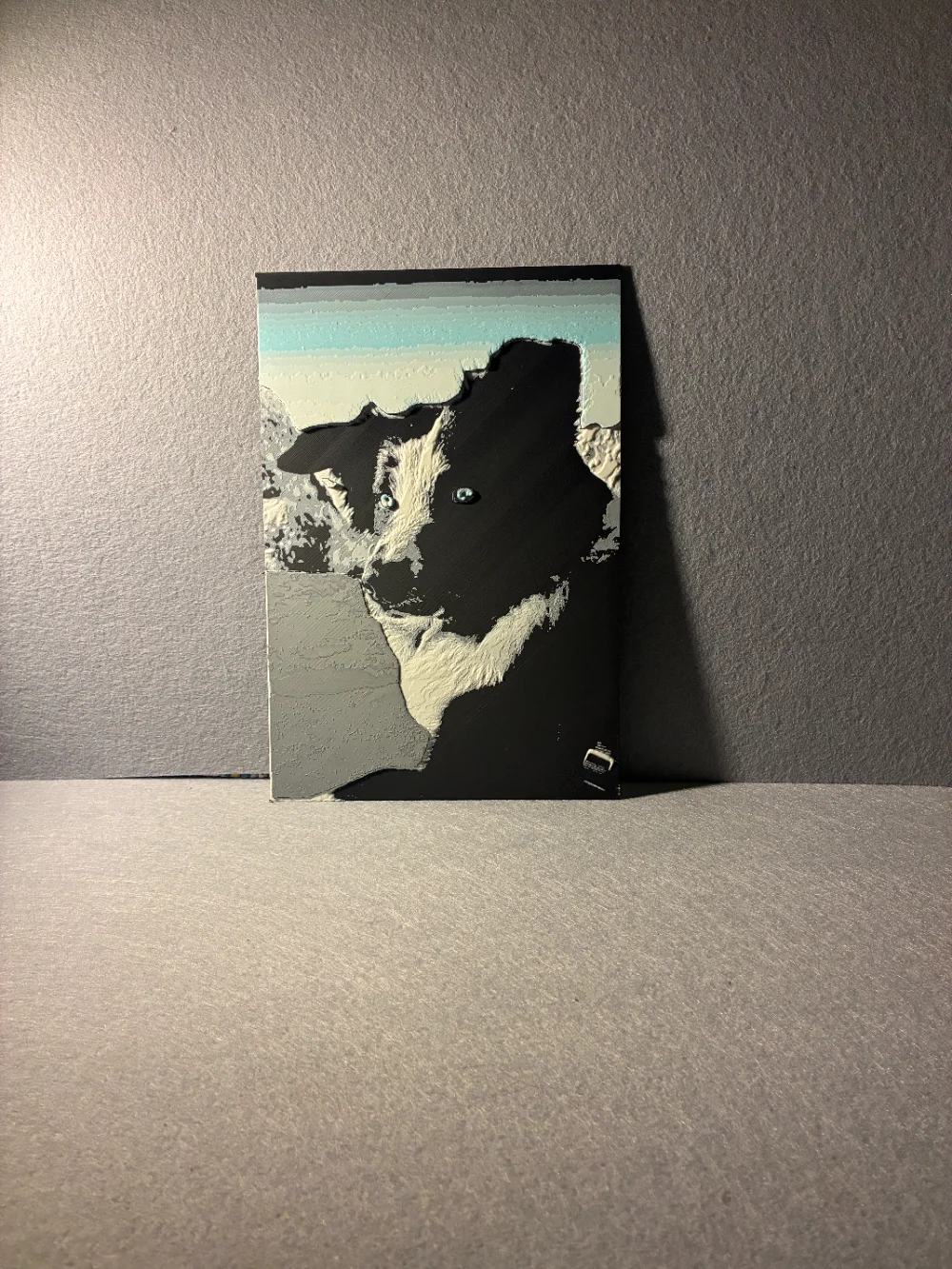 Il ritratto 3D realizzato: border collie